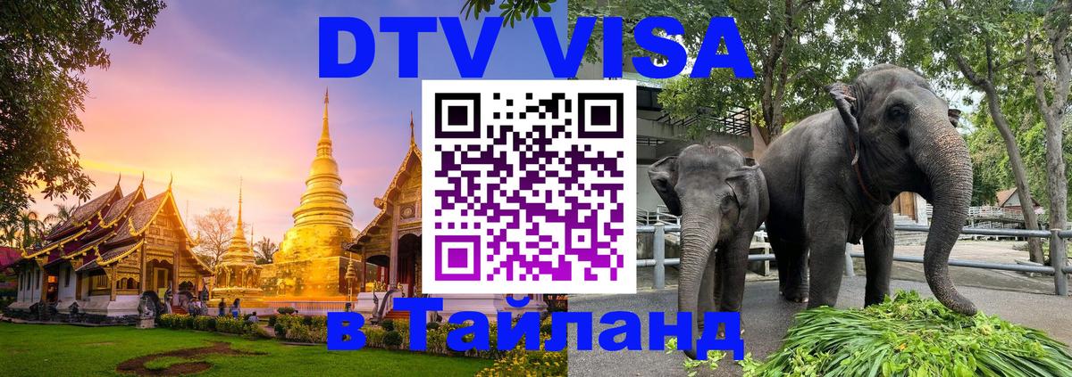 Visa ДТВ Тайланд помощь Пенза 